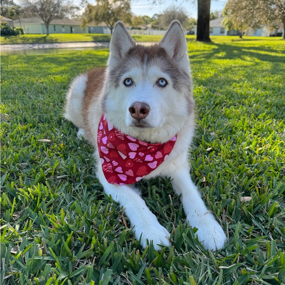 Meet your Posher, Kajal